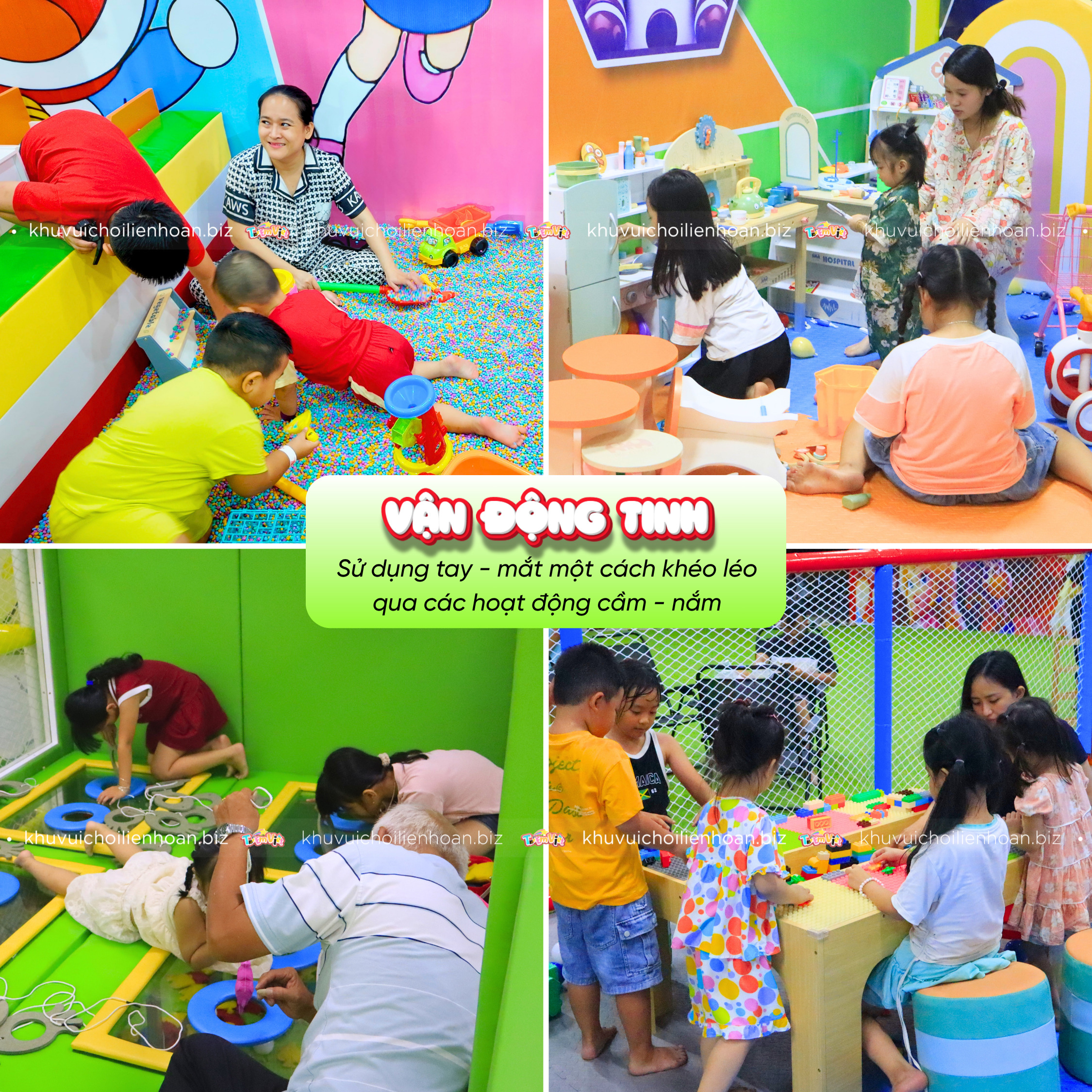 Vận động tinh là gì?